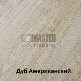 Дуб американский